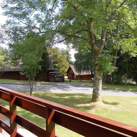 Bluebell Lodge 4 With Hot Tub Ньютон Стюарт Экстерьер фото
